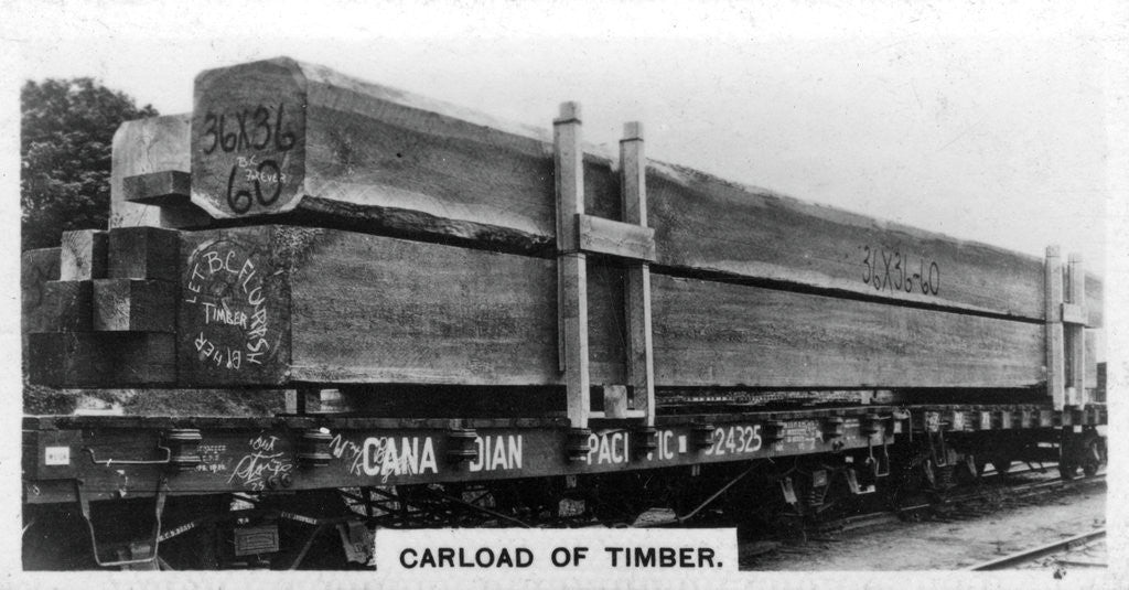 Detail of Carload of Douglas fir, Canada by Anonymous