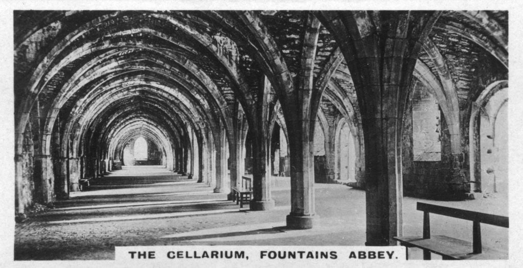 Detail of The Cellarium, Fountains Abbey, Yorkshire by Anonymous