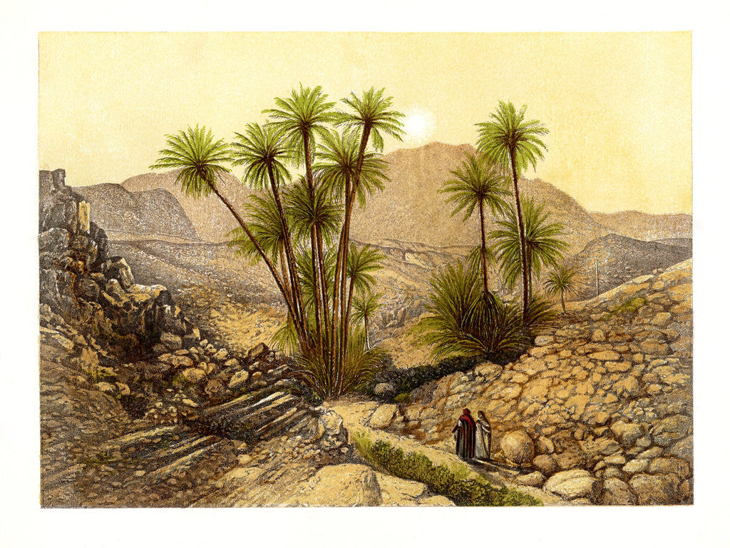 Detail of The Desert of Sinai, Egypt by W Dickens