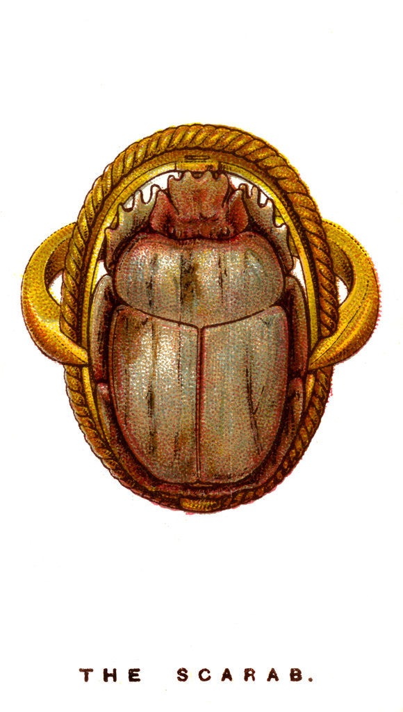 Detail of The Scarab by Anonymous