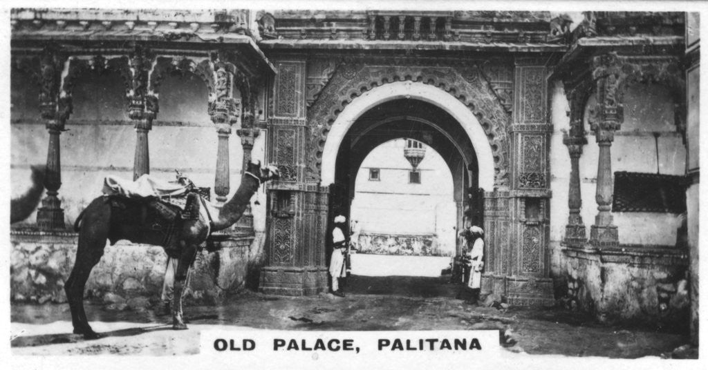 Detail of Old Palace, Palitana, India by Anonymous