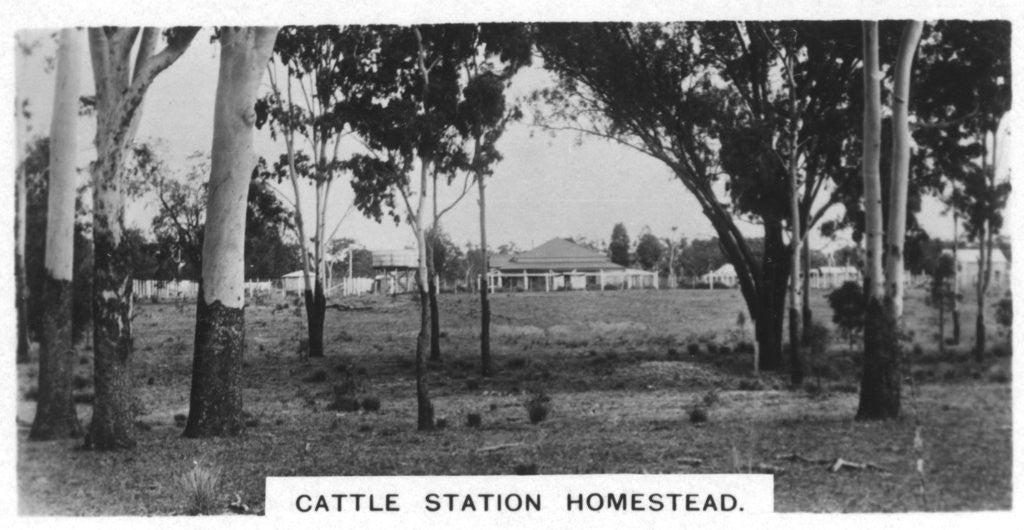 Detail of Cattle station homestead, Australia by Anonymous