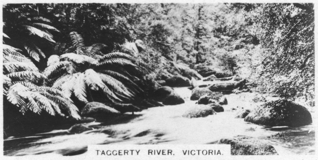 Detail of Taggerty River, Victoria, Australia by Anonymous