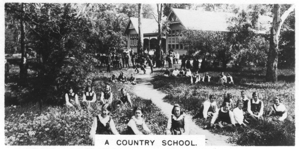 Detail of A country school, Australia by Anonymous