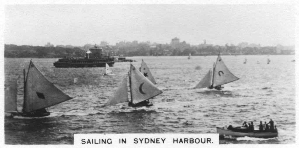 Detail of Sailing in Sydney Harbour, Australia by Anonymous