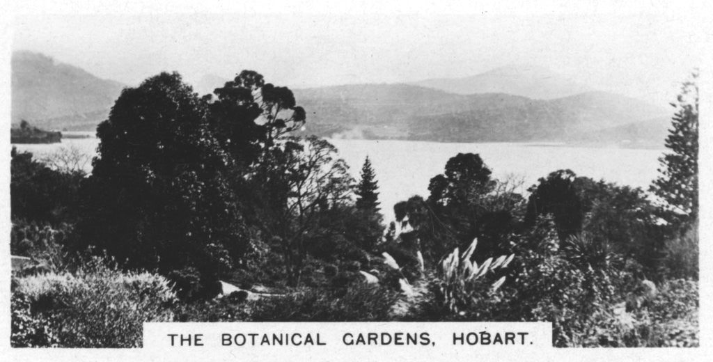 Detail of The Botanical Gardens, Hobart, Tasmania by Anonymous