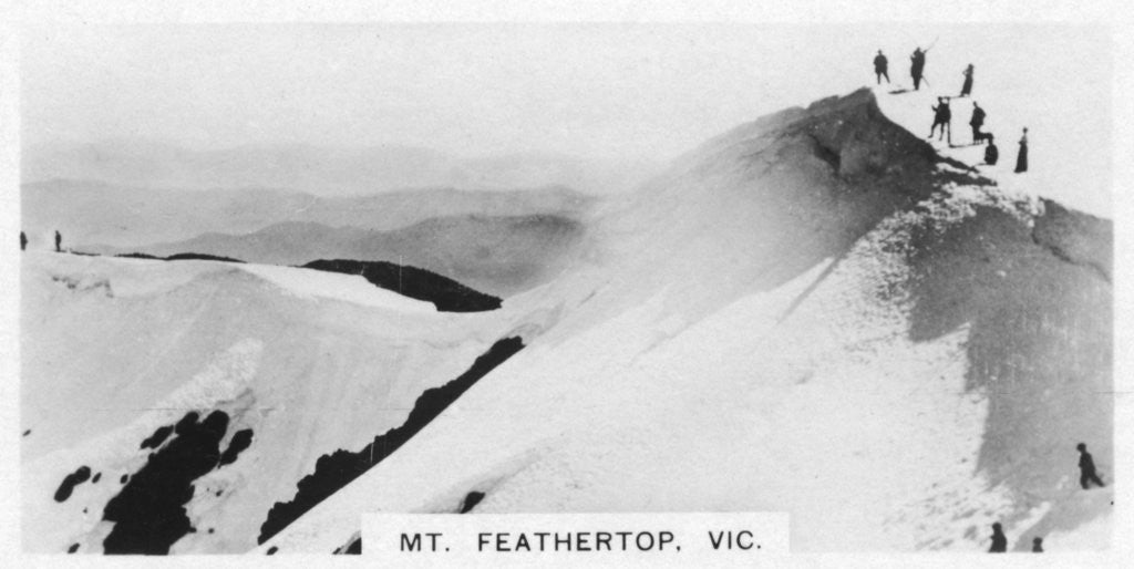 Detail of Mount Feathertop, Victoria, Australia by Anonymous