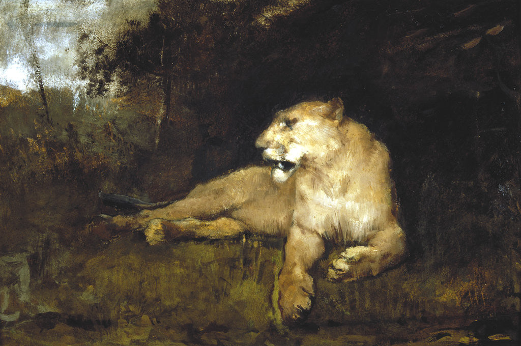Detail of A Lioness by John MacAllan Swan
