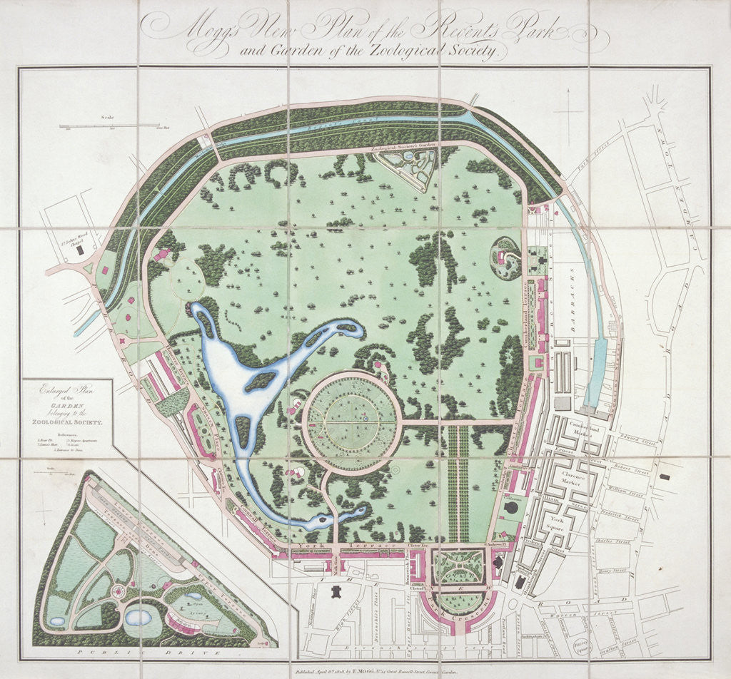 Detail of Plan of the Zoological Gardens, Regent's Park, St Marylebone, London by Edward Mogg