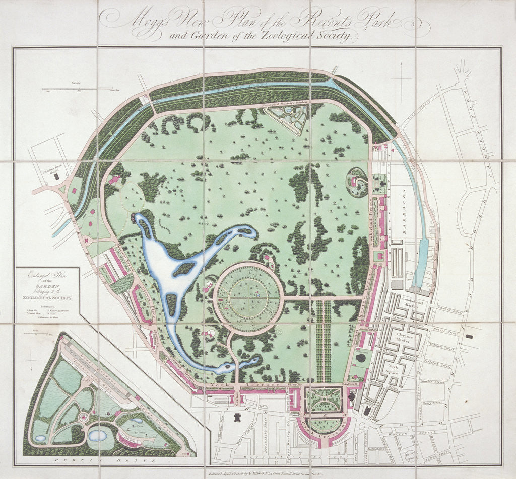 Plan of the Zoological Gardens, Regent's Park, St Marylebone, London by Edward Mogg