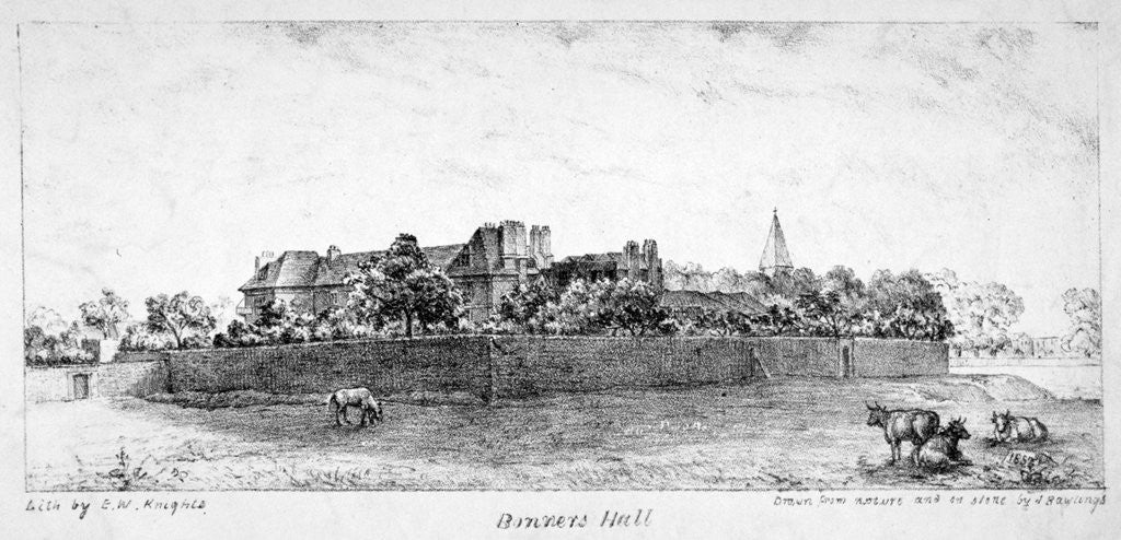 Detail of Bonner's Hall, Bethnal Green, London by J Rawlings