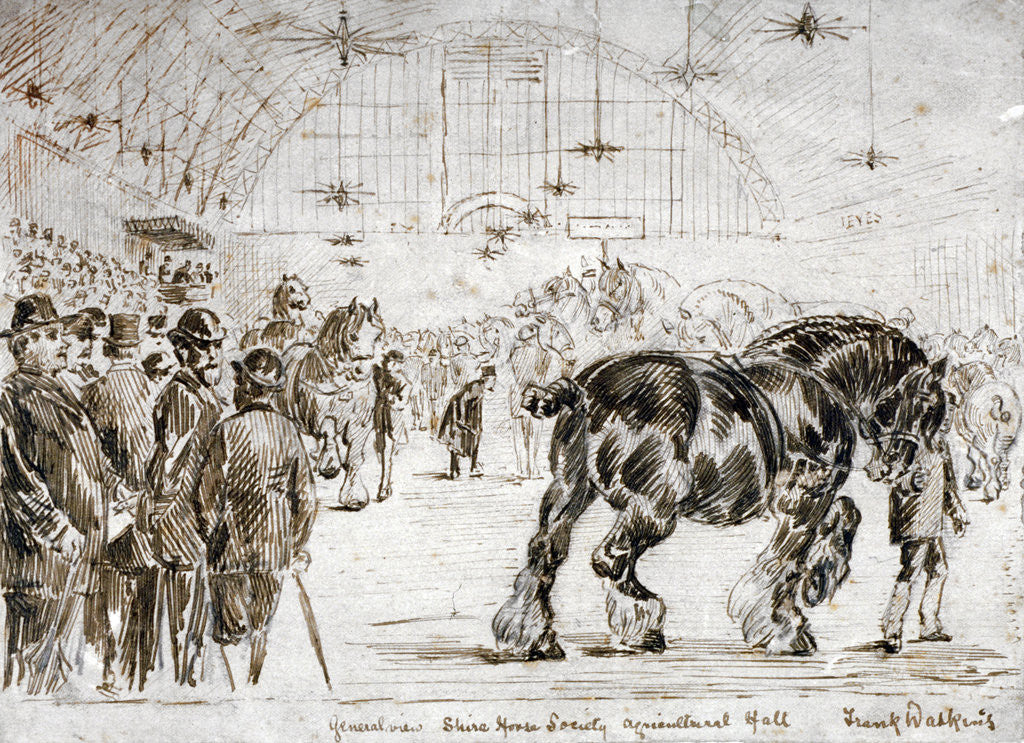 Detail of Meeting of the Shire Horse Society in Islington's Agricultural Hall, London by Frank Watkins