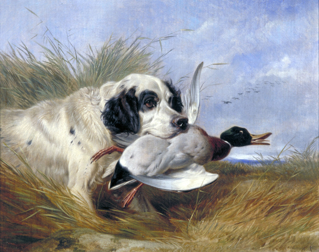 Detail of Dog with Wild Duck by Richard Ansdell