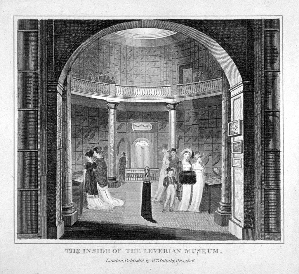 Detail of Interior view of the Leverian Museum, Albion Place, Southwark, London by Anonymous