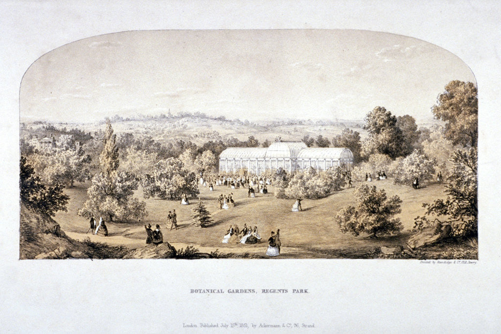 Detail of View of the Botanical Gardens in Regents Park, Marylebone, London by Anonymous