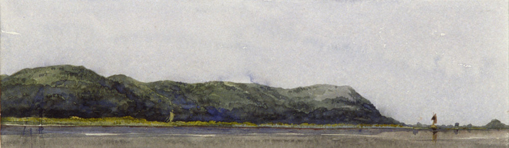 Detail of Point Sikree Gully, Rajmahal Hills by William Clerihew