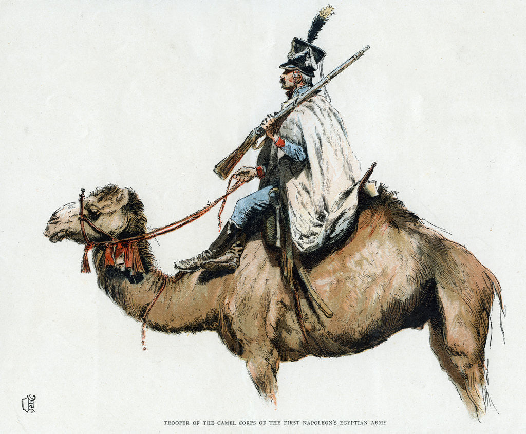 Detail of Trooper of the camel corps of the First Napoleon's Egyptian Army, 1790s (20th century) by Anonymous