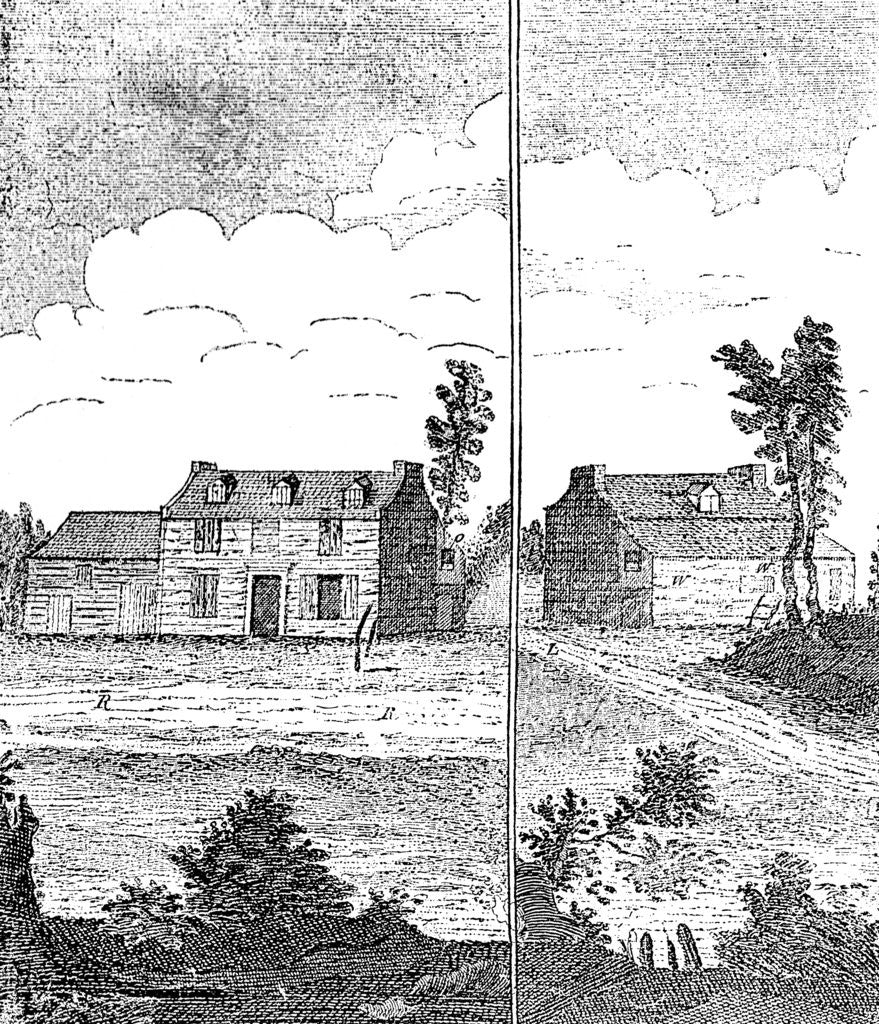 Detail of A True Draught of Eliza Canning by Anonymous