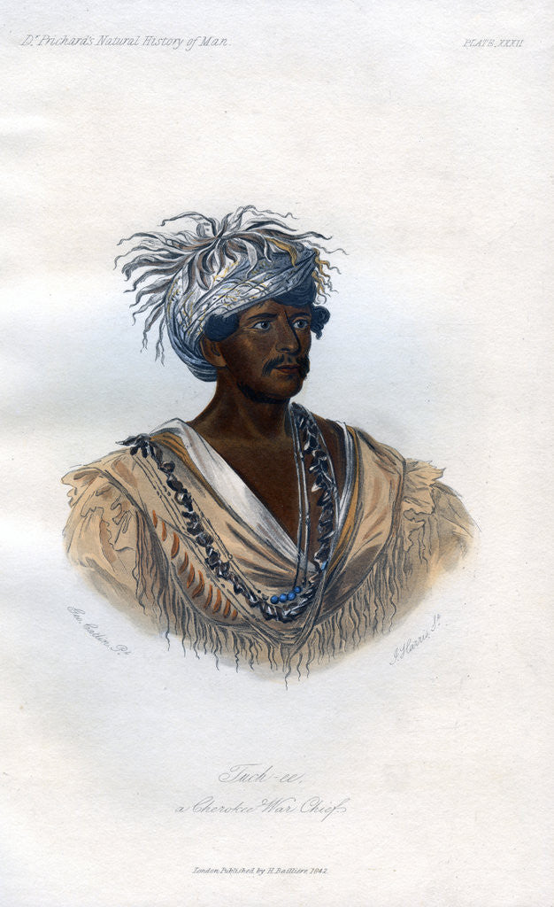 Detail of Tuch-ee, A Cherokee War Chief by Harris