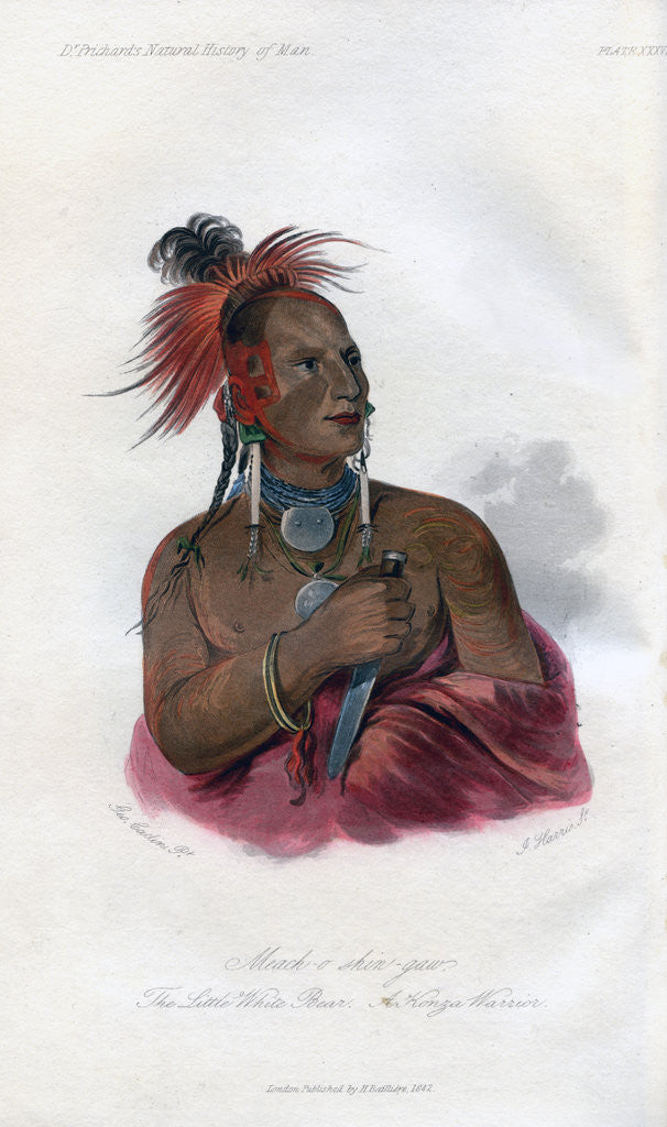 Detail of Meach-o-shin-gaw, The Little White Bear, A Konza Warrior by Harris