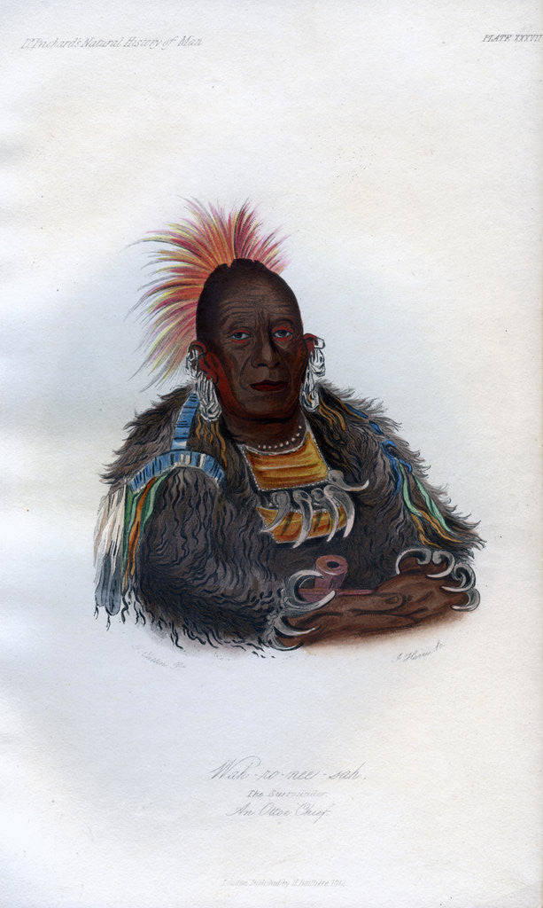 Detail of Wah-ro-nee-sah', The Surrounder, An Otoe Chief by Harris
