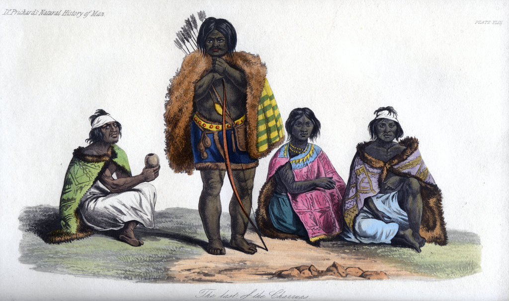 Detail of The last of the Charruas by Anonymous
