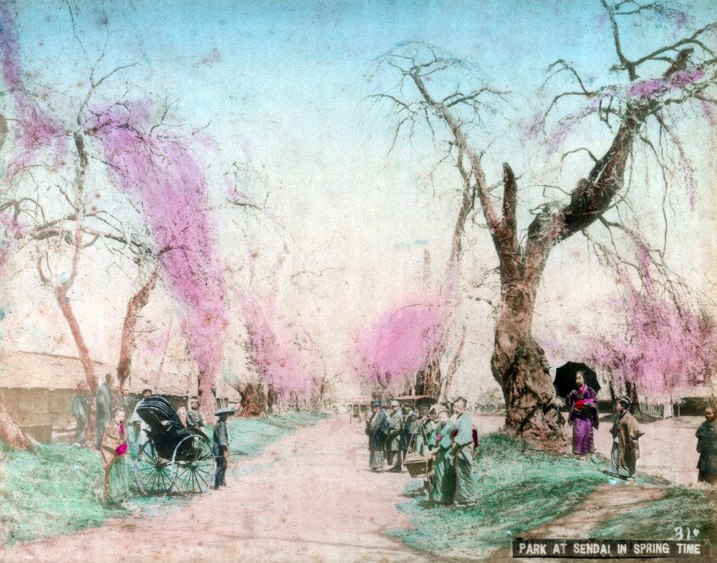 Detail of A park in springtime, Sendai, Miyagi Prefecture, Japan by Anonymous