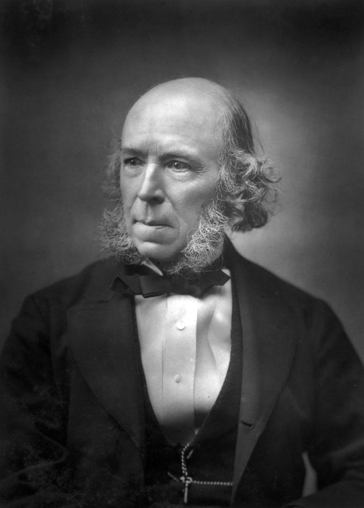 Detail of Herbert Spencer by Anonymous