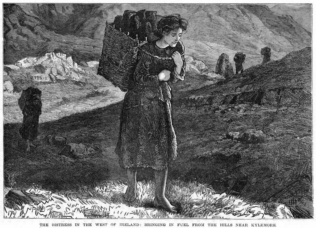 Detail of The Distress in the West Ireland: Bringing in Fuel from the Hills near Kylemore by Anonymous