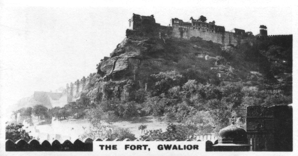 Detail of The fort, Gwalior, Madhya Pradesh, India by Anonymous