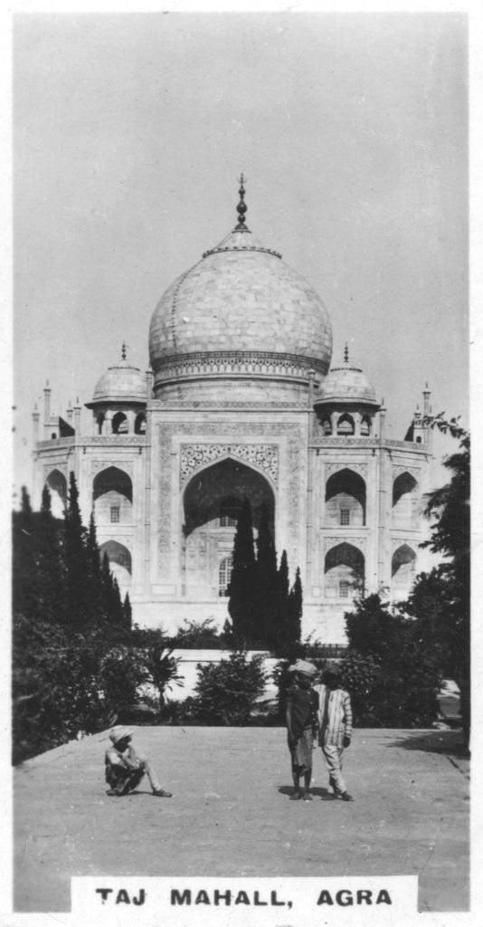 Detail of Taj Mahal, Agra, Uttar Pradesh, India by Anonymous