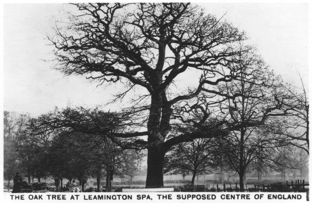 Detail of The oak at Leamington Spa, the supposed centre of England by Anonymous