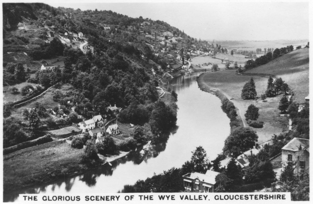 Detail of Wye Valley, Gloucestershire by Anonymous