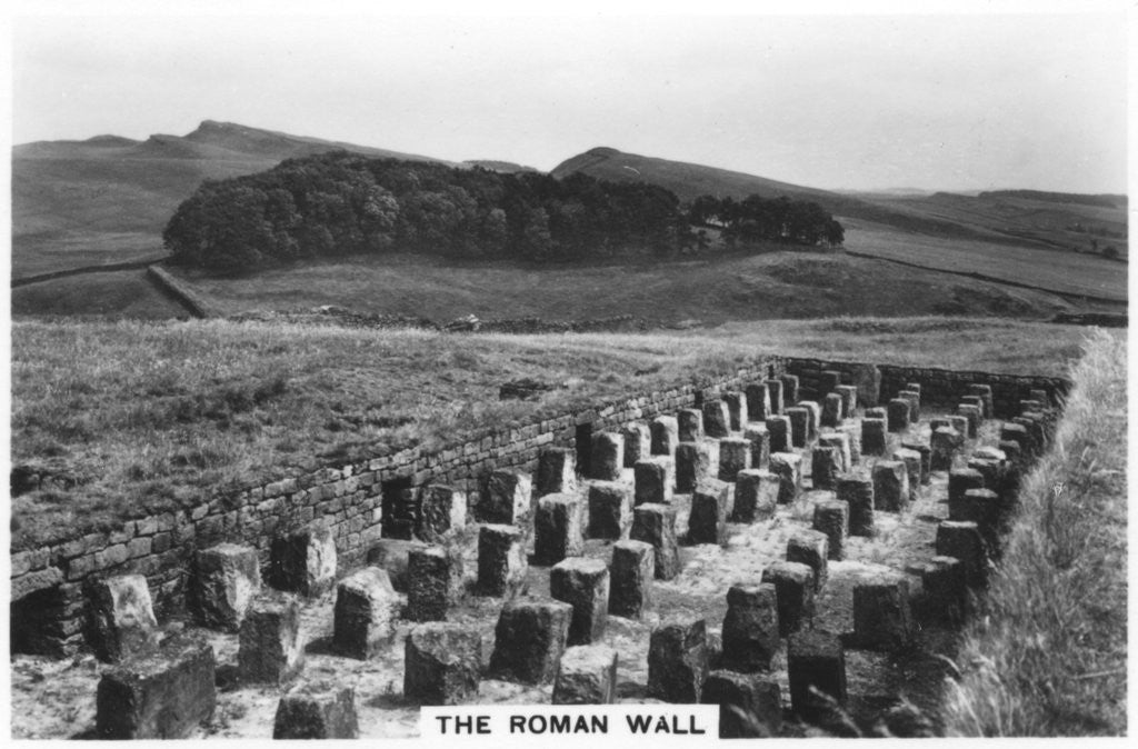 Detail of The Roman Wall, Housesteads, Northumberland by Anonymous