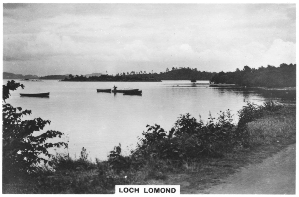 Detail of Loch Lomond, Scotland by Anonymous