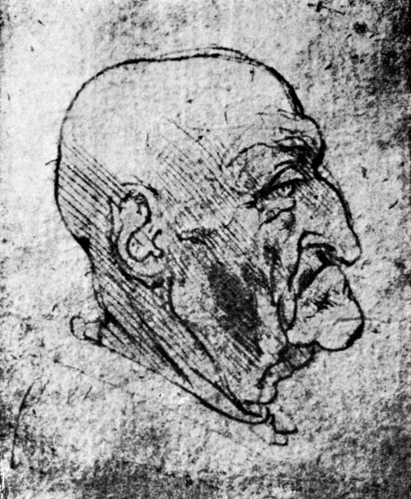 Detail of Head of an Old Man by Leonardo Da Vinci