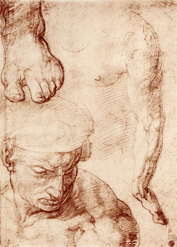Detail of Studies for the figure of the cross-bearer in the Last Judgement, Sistine Chapel by Michelangelo Caravaggio
