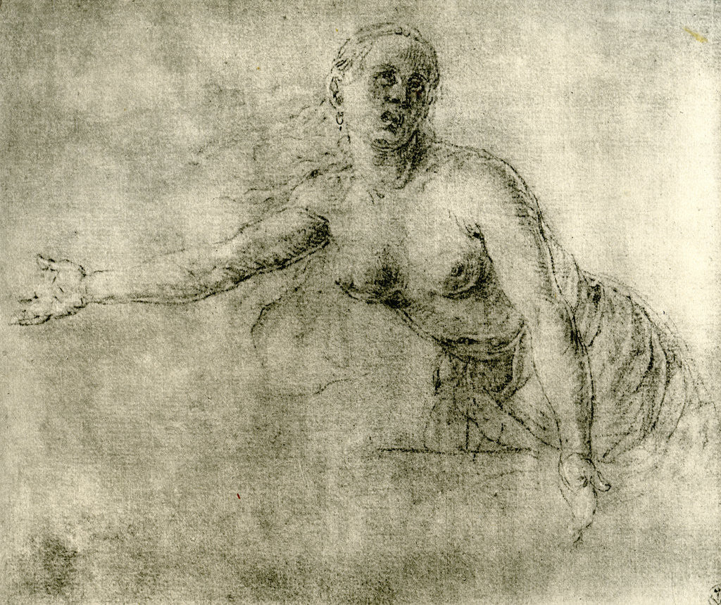 Detail of A study by Albrecht Dürer