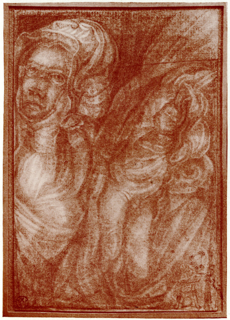Detail of Studies by Albrecht Dürer