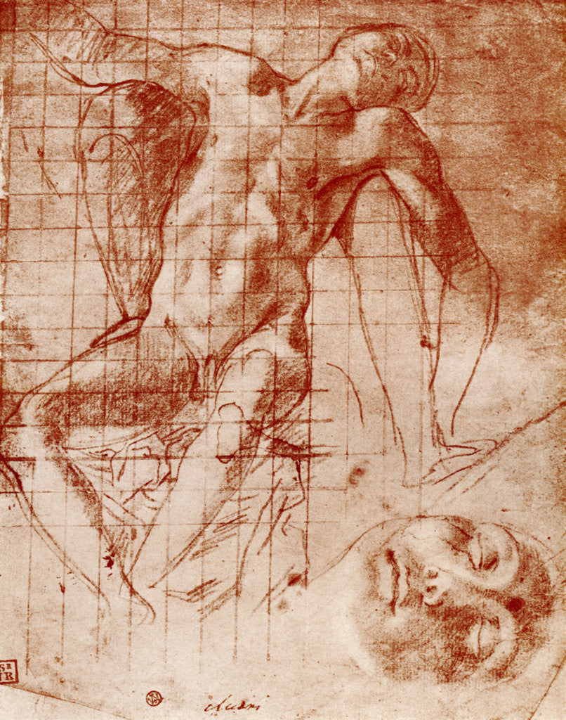 Detail of Studies by Agnolo Bronzino
