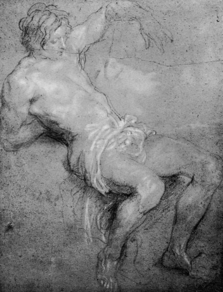 Detail of Study for the 'St Sebastian' by Anthony van Dyck