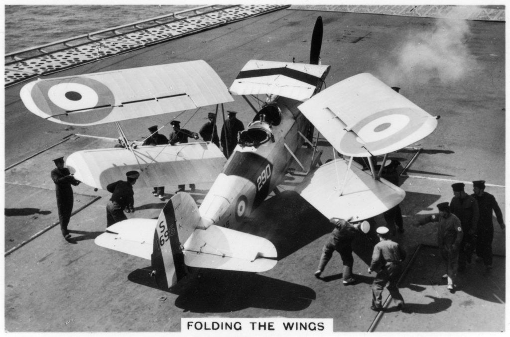 Detail of Hawker Osprey on the deck of the aircraft carrier HMS Eagle by Anonymous