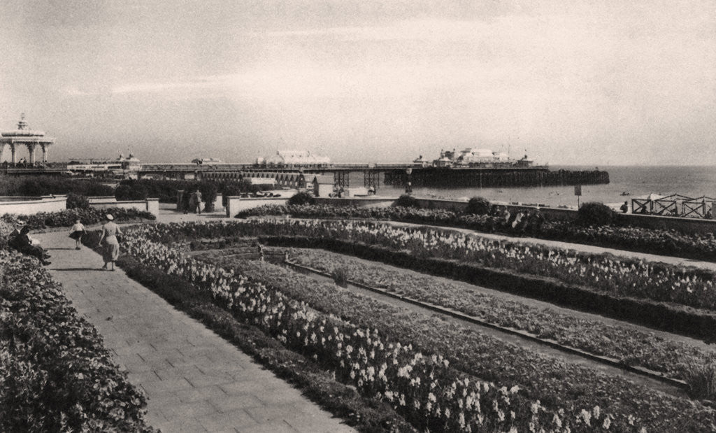 Detail of Floral gardens and the West Pier, Brighton, Sussex by Anonymous