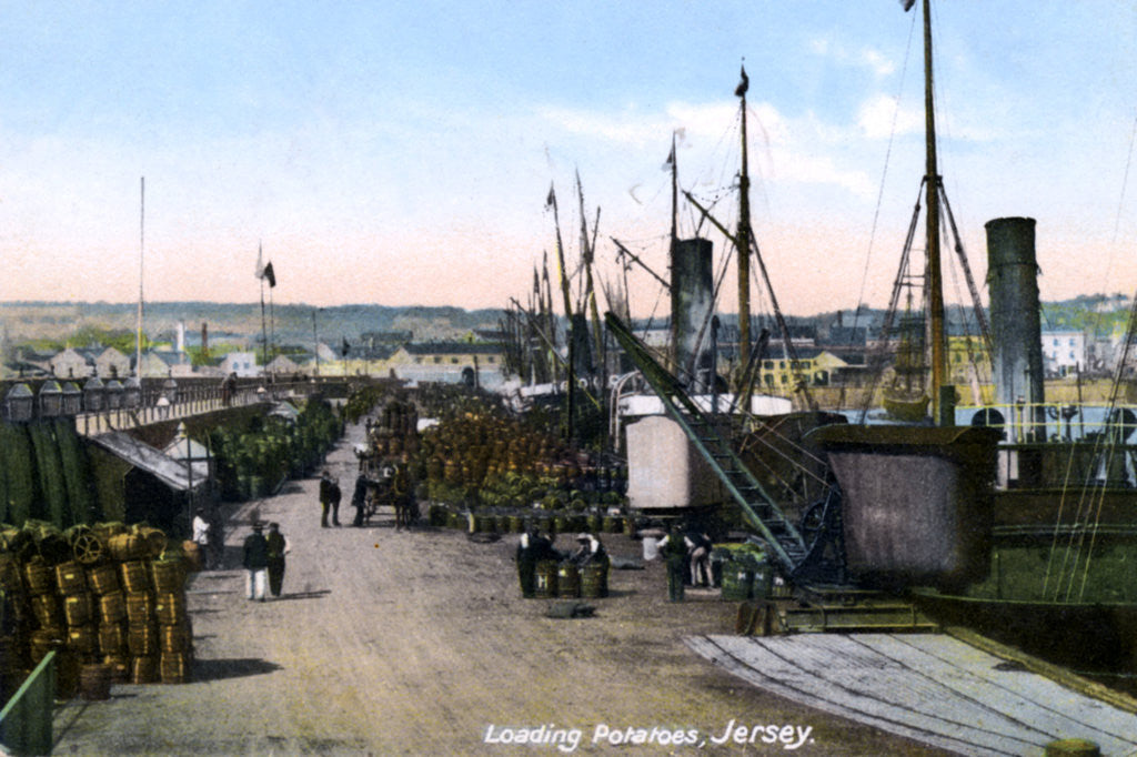 Detail of Loading Potatoes, Jersey by Anonymous