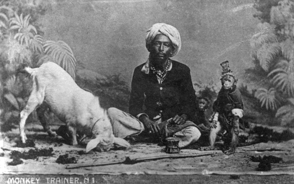 Detail of Monkey trainer, India by Anonymous