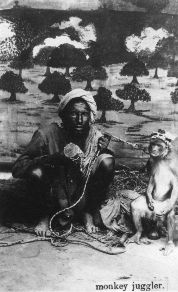 Detail of Monkey juggler, India by Anonymous