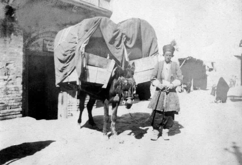 Detail of Persian donkey transport, Baghdad, Iraq by Anonymous