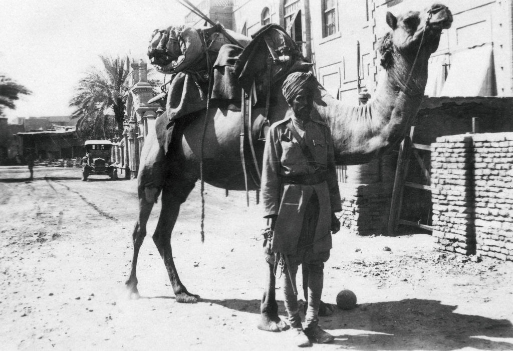 Detail of Indian camel trooper, Baghdad by Anonymous
