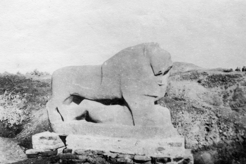 Detail of Lion of Babylon statue, Babylon, Babil, Mesopotamia by Anonymous