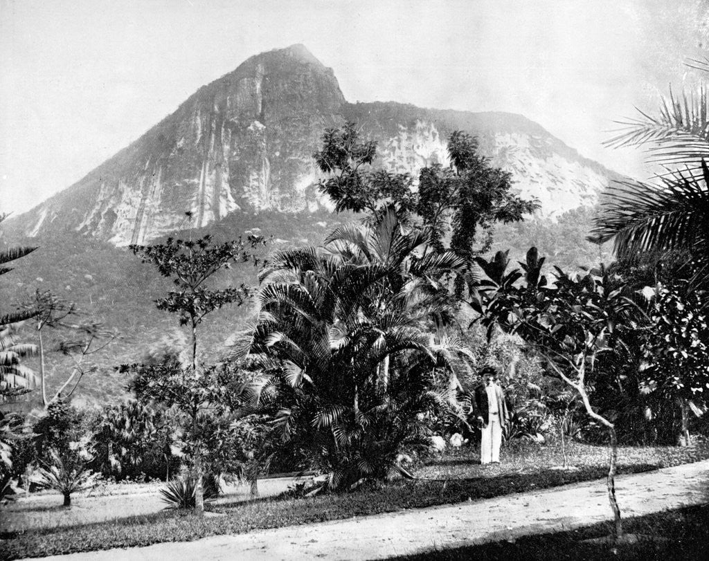 Detail of Botanical Gardens and Mount Corcovado, Rio De Janeiro, Brazil by John L Stoddard